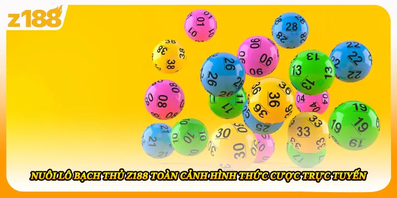Nuôi Lô Bạch Thủ Z188 Toàn Cảnh Hình Thức Cược Trực Tuyến